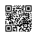 2SA-23412-00-00 RACE, BALL 2