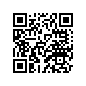 2V0-14451-00-00 ELEMENT,AIR CLNR