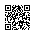 2VM-11635-00-00 Поршень