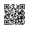 2VM-11636-00-00 Поршень