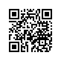 2VN-25396-00-00 Набор спиц внутренних