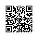 2W6-27211-00-33 
