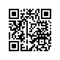 2WR-2840H-00-00 GRAPHIC SET,TRUNK