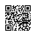 2X4-17251-00-00 