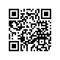 2XX-11311-00-00 