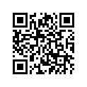 2Y0-24161-00-00 