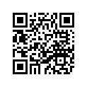 2YK-24731-00-00 