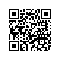 2YY-24730-00-00 