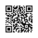 3005-521 PLATE, FRICTION