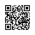 3007-639 ECU-'09 1000 LOW-TRIANGLE