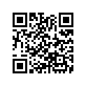 30205-333-004 Felt,oil