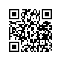 30205-361-003 Felt, oil