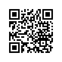 30205-402-701 FELT OIL