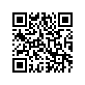 3021-581 CIRCLIP