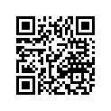 3021-938 SHIM,CRANK-200 (T=0.3)