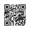 304-24161-00-00 
