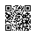 304-24500-11-00 