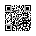 306-22210-29-00 