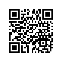 306-81862-10-00 CAP