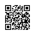 307-21165-00-33 