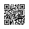 307-25161-00-00 
