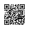 307-82539-00-33 