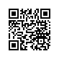3070333 LEVER, SHIFT