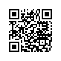 3076 SCREW,HEXSCKT,BTNLOCK
