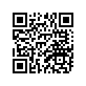 308-21240-00-33 