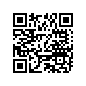 309001310M MAGNETO KEY