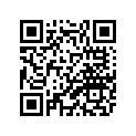 30X-11636-01-00 Поршень