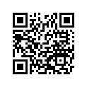 310091051 