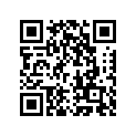 310641054 