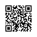 310641055 