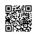 31201-003-003 Щётка карбоновая