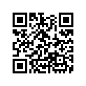 31201-KY1-000 BRUSH SET