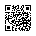 3120677 GASKET