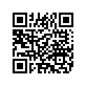 3151890 HOLDERASSY,BRUSH,FXDSX