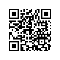 31571-893-681 WIRE,GROUND