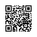 31A-21524-00-00 