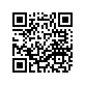 31A-21711-01-2Y 
