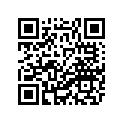 31A-21711-01-4Y 