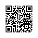 31M-2840H-10-00 GRAPHIC SET,TRUNK