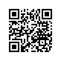 3201-092 GUIDE-CHAIN,SLACK