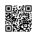 320291254 