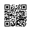 320291333 