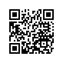 320331061 