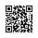 320331062 