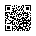 320331635 