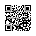 320431281 